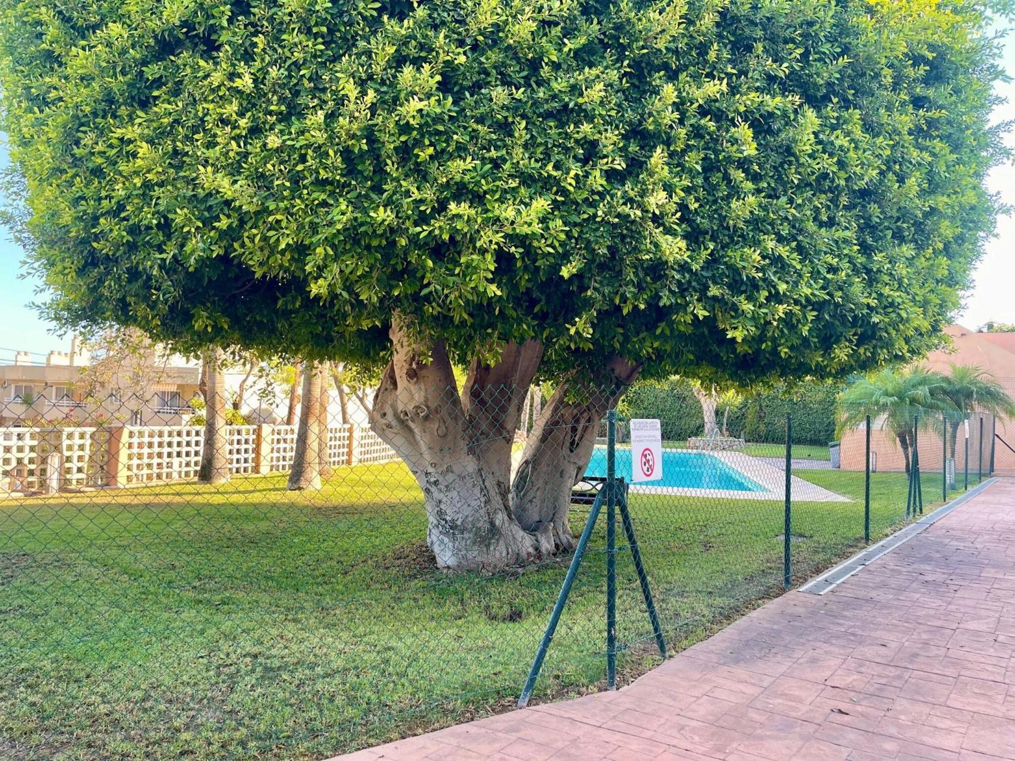 In Near Seabeach Appartement Torremolinos